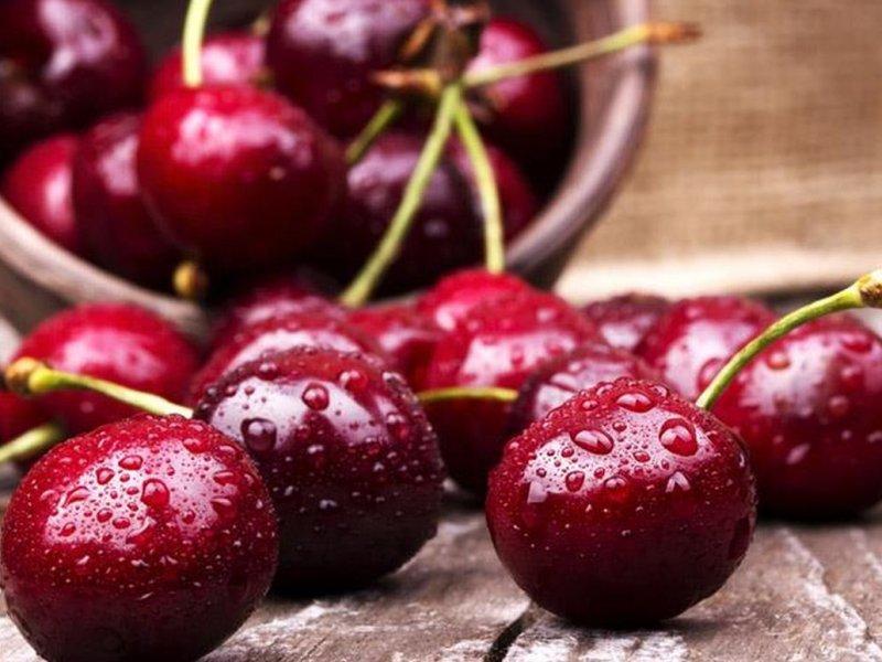Вишня купить саженцы из питомника в Нижнем Новгороде